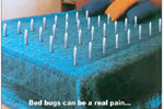 Hicare BedBug-Ad