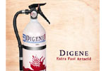 Spice Of Life Print Ad