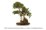 Indian National Shipowners Association-Ad